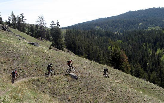 merritt mountain biking BC freeride nsmb